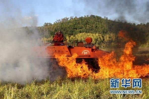 【動畫】森林草原防火“十不準”“五不燒”！這些安全知識要牢記